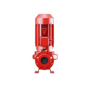 Cast Iron In-line Constant Speed Pump, PN16